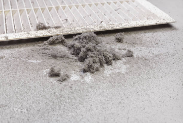Best Affordable Duct Cleaning Services  in Uvalde, TX